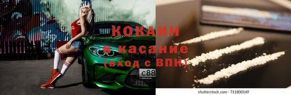 дживик Осинники