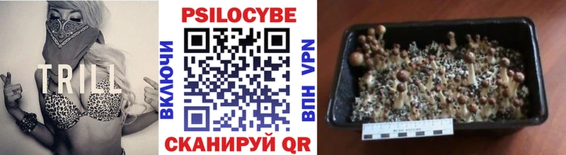 ссылка на мегу ссылка  сколько стоит  Кологрив  Галлюциногенные грибы Magic Shrooms 