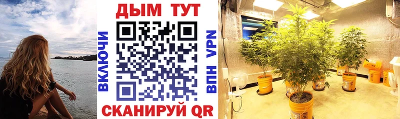 блэк спрут рабочий сайт  Кологрив  Бошки марихуана Ganja 